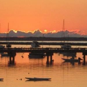 Meet your Posher, Elise